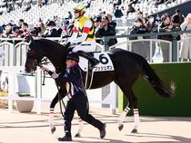 ����å��ǳ��������ɽ�����ޤ�