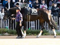 ����å��ǳ��������ɽ�����ޤ�