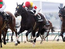 ����å��ǳ��������ɽ�����ޤ�