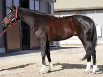 ����å��ǳ��������ɽ�����ޤ�