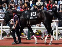 ����å��ǳ��������ɽ�����ޤ�