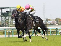 ����å��ǳ��������ɽ�����ޤ�