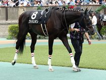 ����å��ǳ��������ɽ�����ޤ�