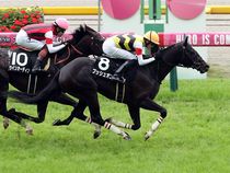 ����å��ǳ��������ɽ�����ޤ�