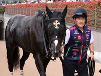 ����å��ǳ��������ɽ�����ޤ�