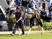 ����å��ǳ��������ɽ�����ޤ�