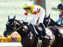 ����å��ǳ��������ɽ�����ޤ�