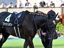 ����å��ǳ��������ɽ�����ޤ�