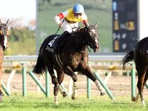 ����å��ǳ��������ɽ�����ޤ�