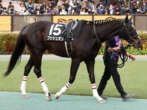 ����å��ǳ��������ɽ�����ޤ�