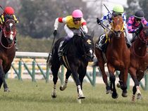 ����å��ǳ��������ɽ�����ޤ�