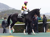 ����å��ǳ��������ɽ�����ޤ�