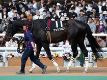 ����å��ǳ��������ɽ�����ޤ�