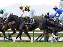 ����å��ǳ��������ɽ�����ޤ�