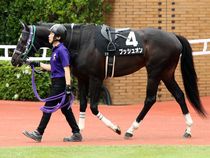 ����å��ǳ��������ɽ�����ޤ�