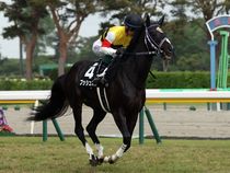 ����å��ǳ��������ɽ�����ޤ�