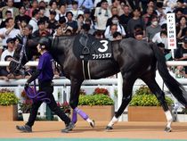 ����å��ǳ��������ɽ�����ޤ�