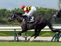 ����å��ǳ��������ɽ�����ޤ�