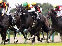 ����å��ǳ��������ɽ�����ޤ�