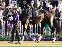 ����å��ǳ��������ɽ�����ޤ�