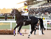 ����å��ǳ��������ɽ�����ޤ�