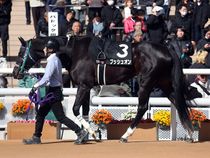 ����å��ǳ��������ɽ�����ޤ�