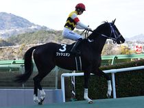 ����å��ǳ��������ɽ�����ޤ�