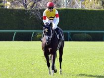 ����å��ǳ��������ɽ�����ޤ�