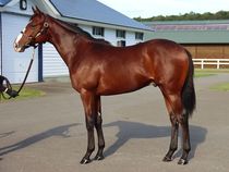 ����å��ǳ��������ɽ�����ޤ�