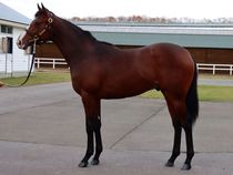 ����å��ǳ��������ɽ�����ޤ�