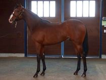 ����å��ǳ��������ɽ�����ޤ�