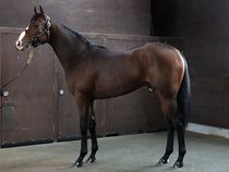 ����å��ǳ��������ɽ�����ޤ�