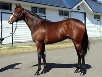 ����å��ǳ��������ɽ�����ޤ�