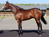 ����å��ǳ��������ɽ�����ޤ�