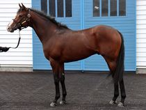 ����å��ǳ��������ɽ�����ޤ�