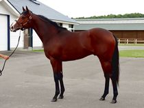 ����å��ǳ��������ɽ�����ޤ�