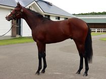 ����å��ǳ��������ɽ�����ޤ�