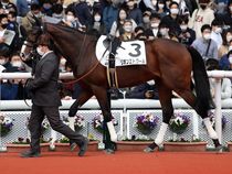 ����å��ǳ��������ɽ�����ޤ�