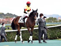 ����å��ǳ��������ɽ�����ޤ�