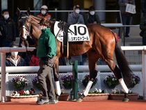 ����å��ǳ��������ɽ�����ޤ�