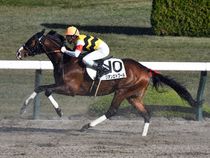 ����å��ǳ��������ɽ�����ޤ�