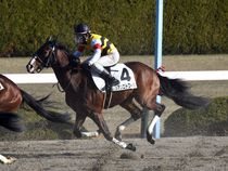 ����å��ǳ��������ɽ�����ޤ�