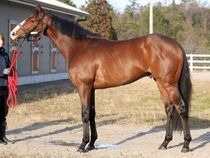 ����å��ǳ��������ɽ�����ޤ�