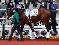 ����å��ǳ��������ɽ�����ޤ�