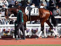 ����å��ǳ��������ɽ�����ޤ�