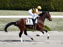 ����å��ǳ��������ɽ�����ޤ�