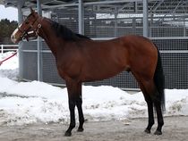 ����å��ǳ��������ɽ�����ޤ�