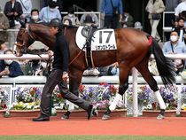 ����å��ǳ��������ɽ�����ޤ�