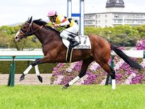 ����å��ǳ��������ɽ�����ޤ�