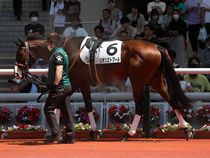 ����å��ǳ��������ɽ�����ޤ�